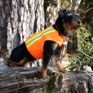 Aduro Hundewarnweste